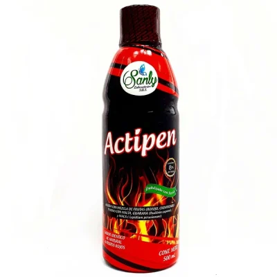Actipen Sanly 500 ml